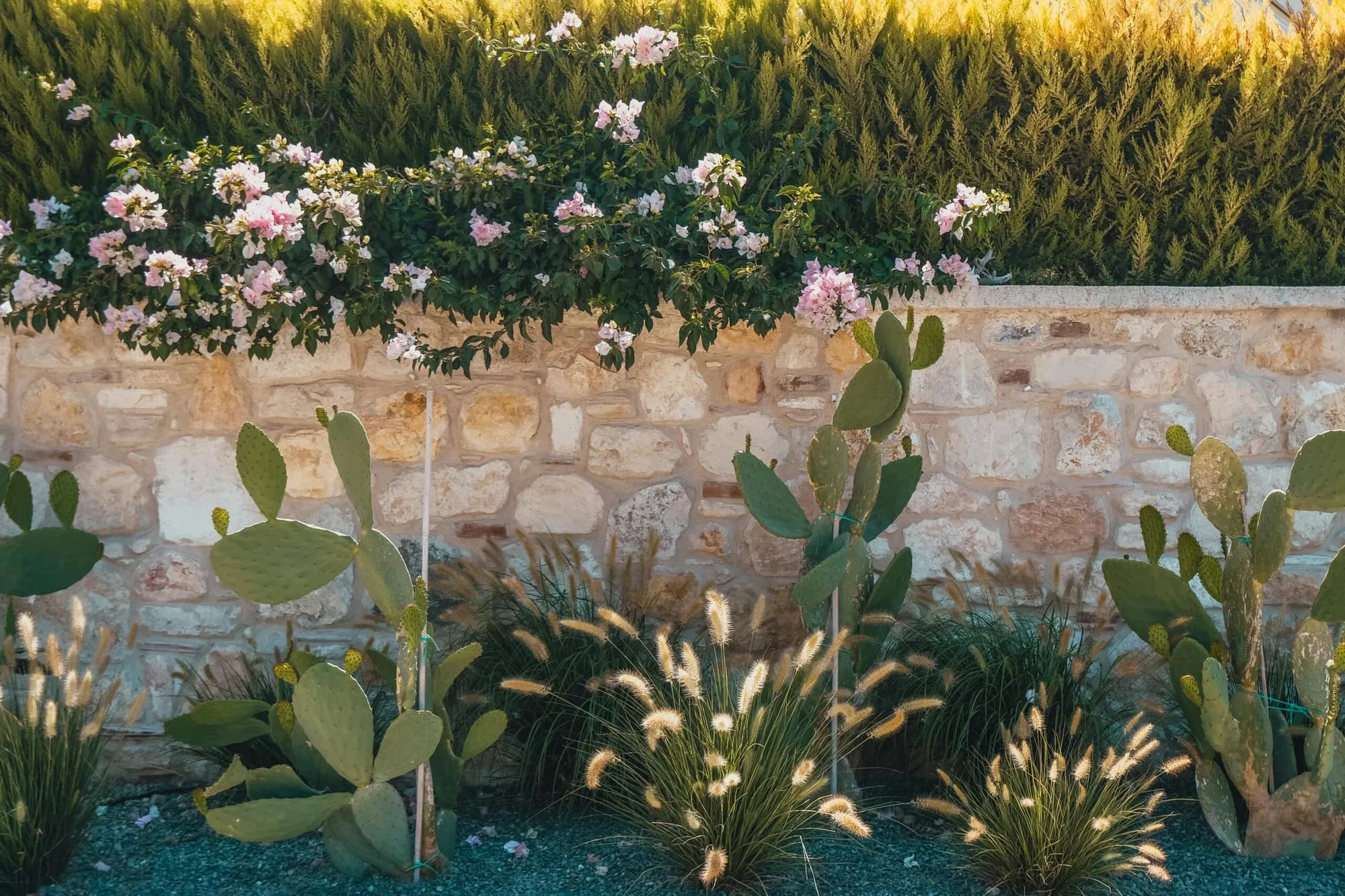 Gartenbau und Gestaltung