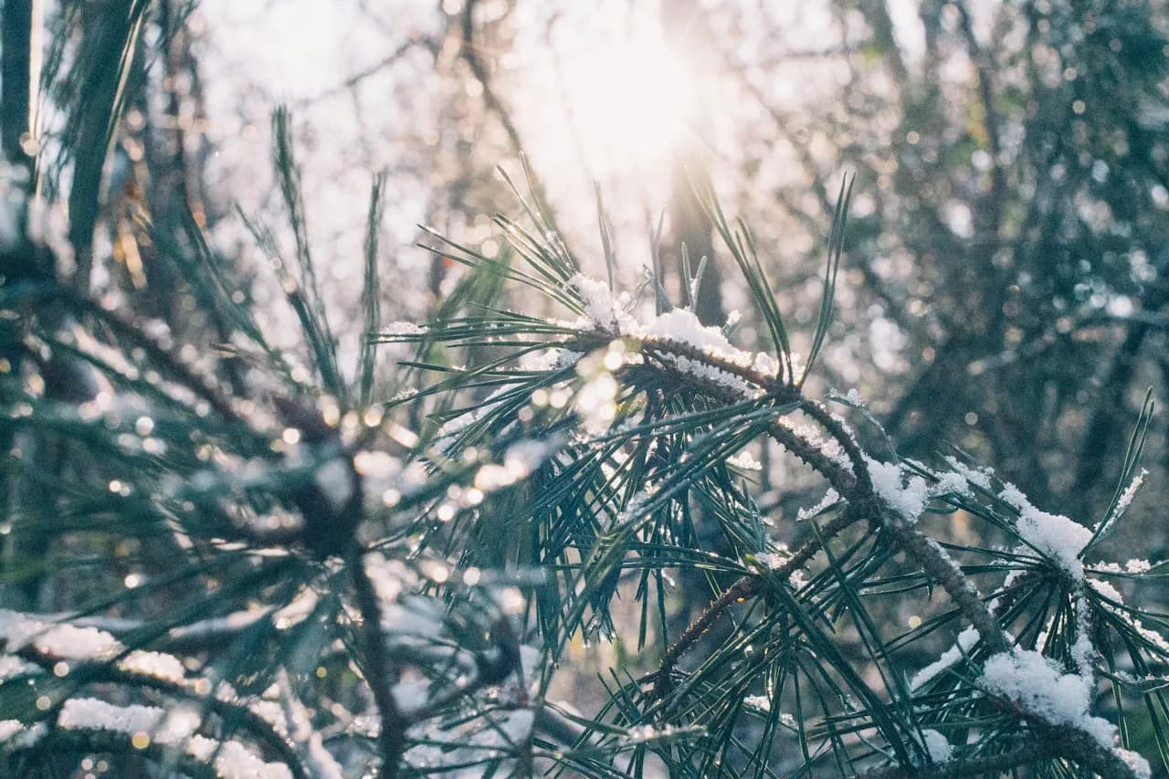 Saisonale Arbeiten und Winterdienst